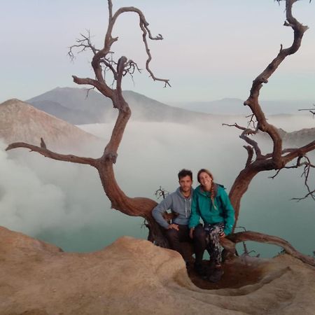 בניוואנגי Thalia Homestay & Ijen Bromo Tour מראה חיצוני תמונה
