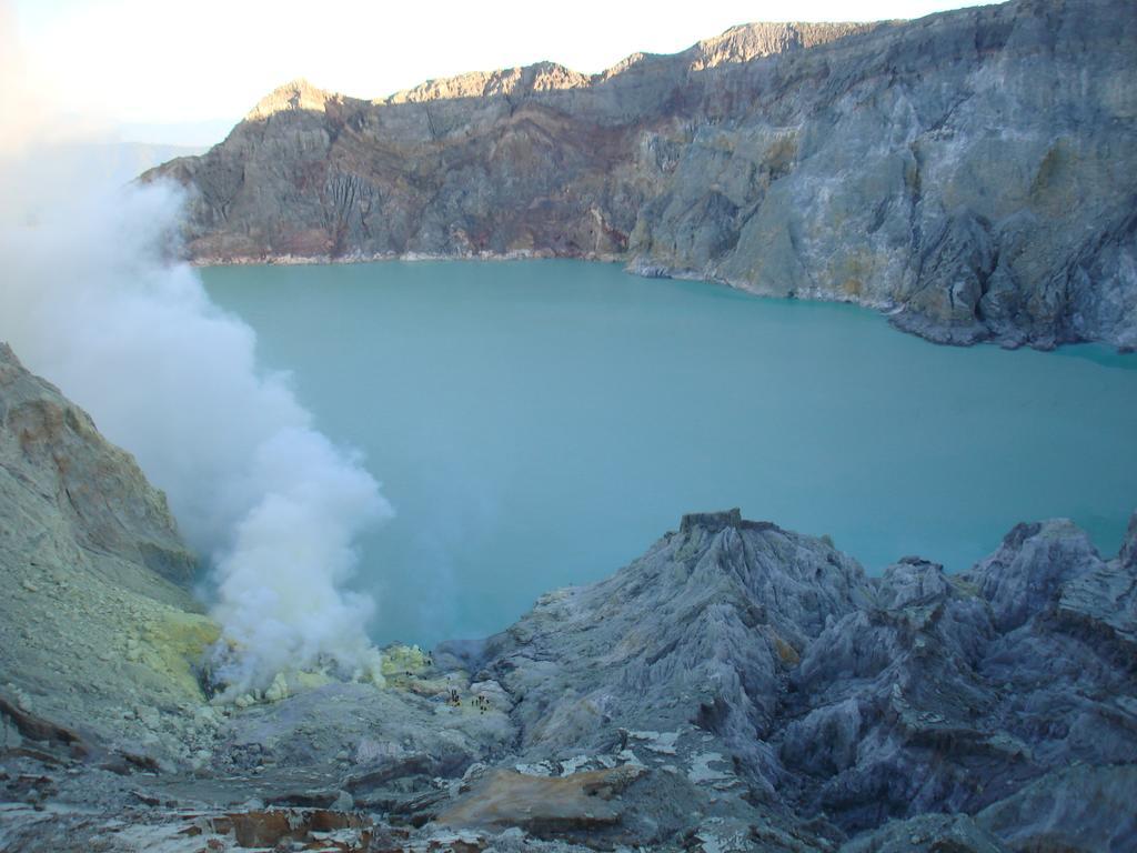 בניוואנגי Thalia Homestay & Ijen Bromo Tour מראה חיצוני תמונה