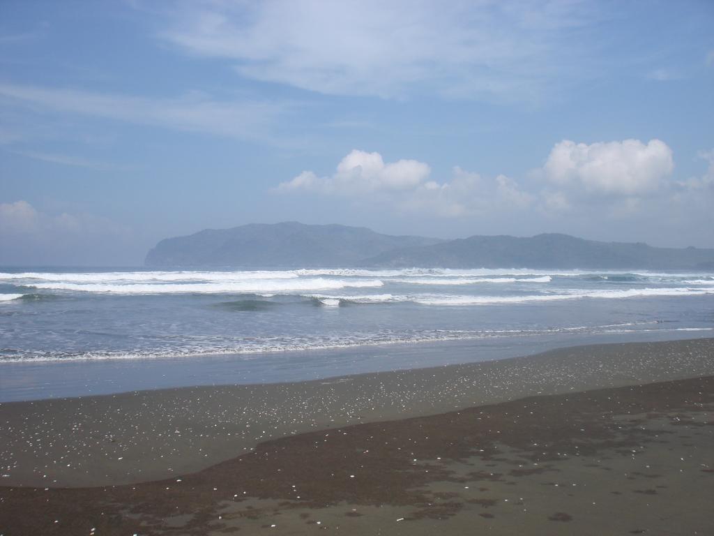 בניוואנגי Thalia Homestay & Ijen Bromo Tour מראה חיצוני תמונה