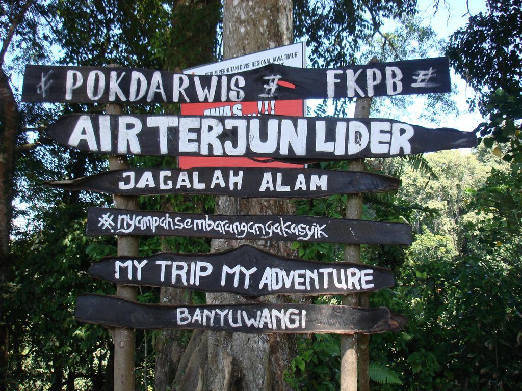 בניוואנגי Thalia Homestay & Ijen Bromo Tour מראה חיצוני תמונה