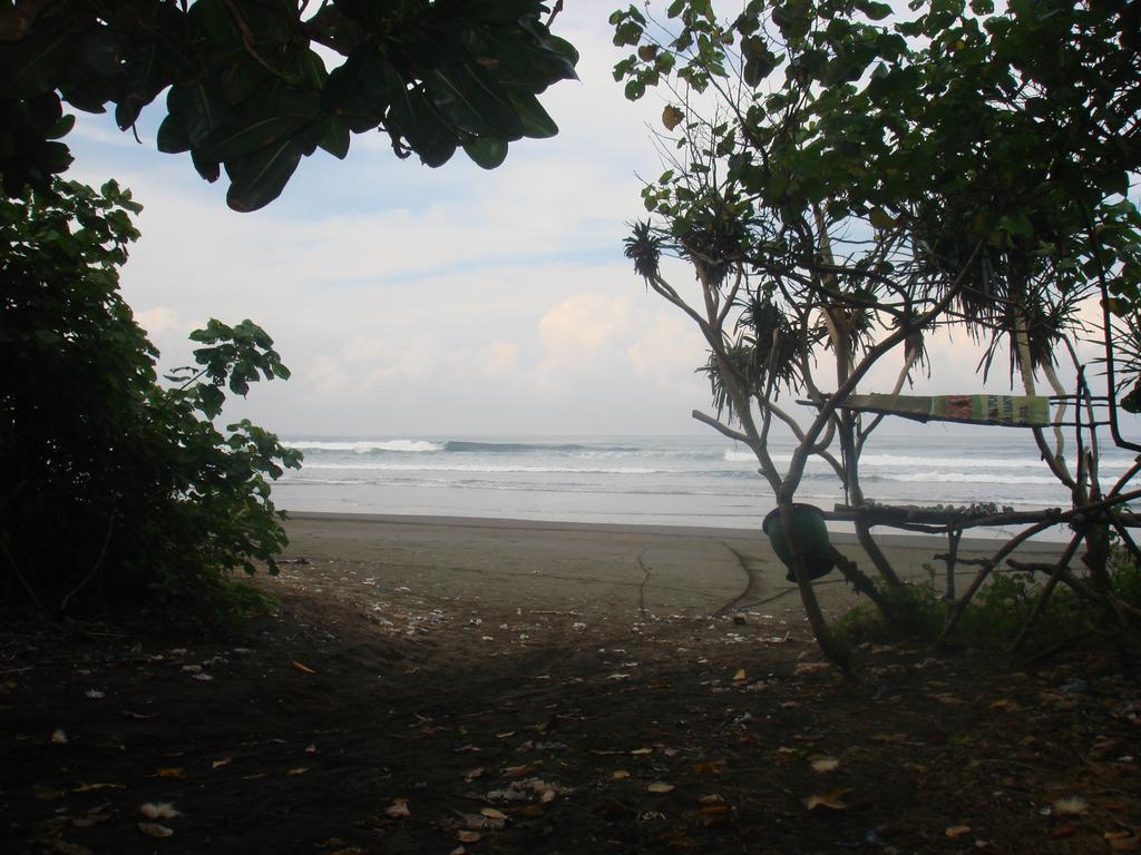 בניוואנגי Thalia Homestay & Ijen Bromo Tour מראה חיצוני תמונה