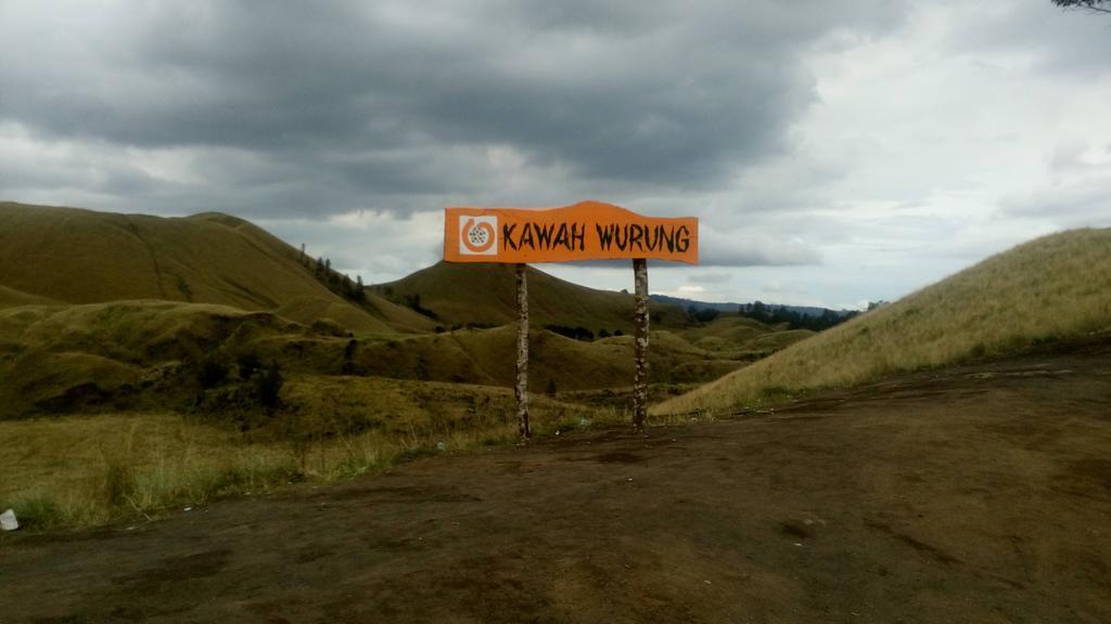 בניוואנגי Thalia Homestay & Ijen Bromo Tour מראה חיצוני תמונה
