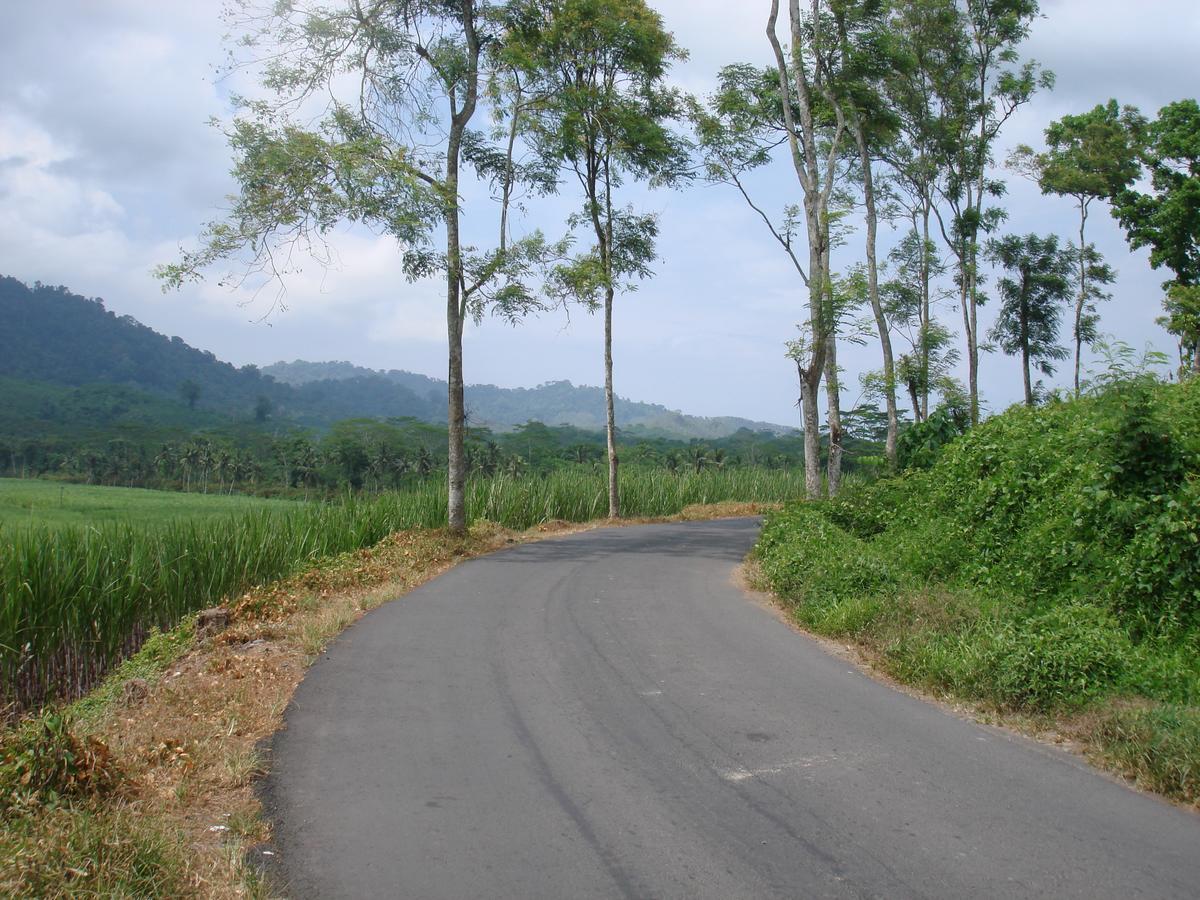 בניוואנגי Thalia Homestay & Ijen Bromo Tour מראה חיצוני תמונה