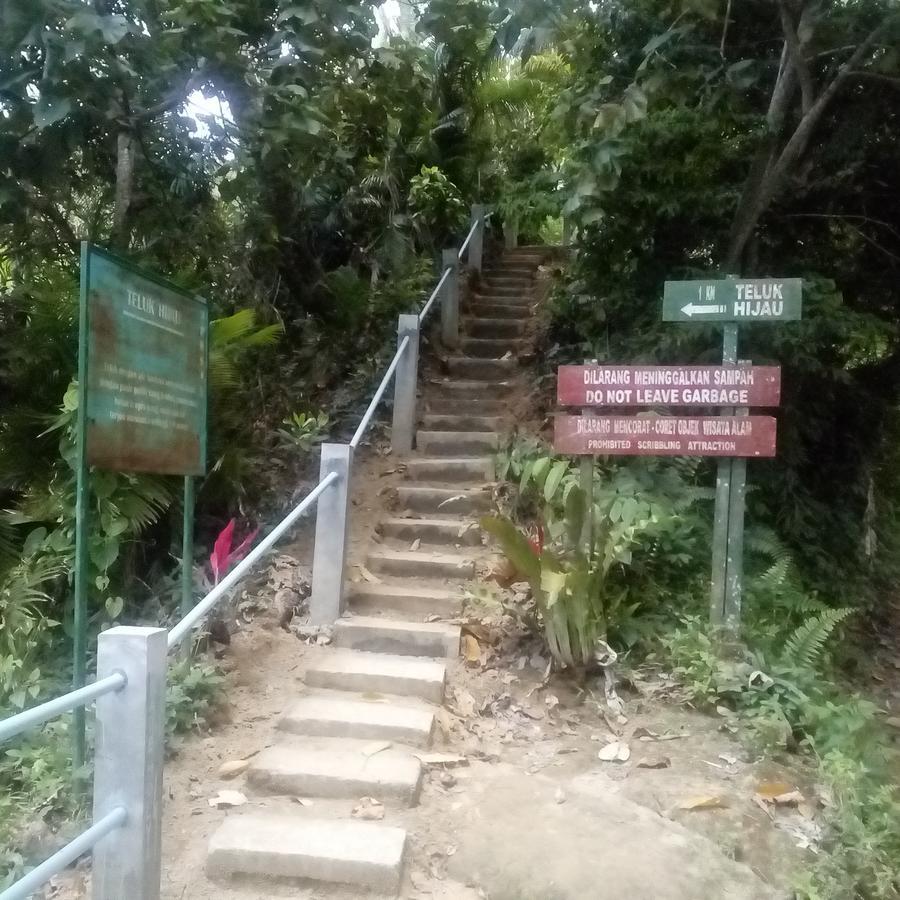 בניוואנגי Thalia Homestay & Ijen Bromo Tour מראה חיצוני תמונה