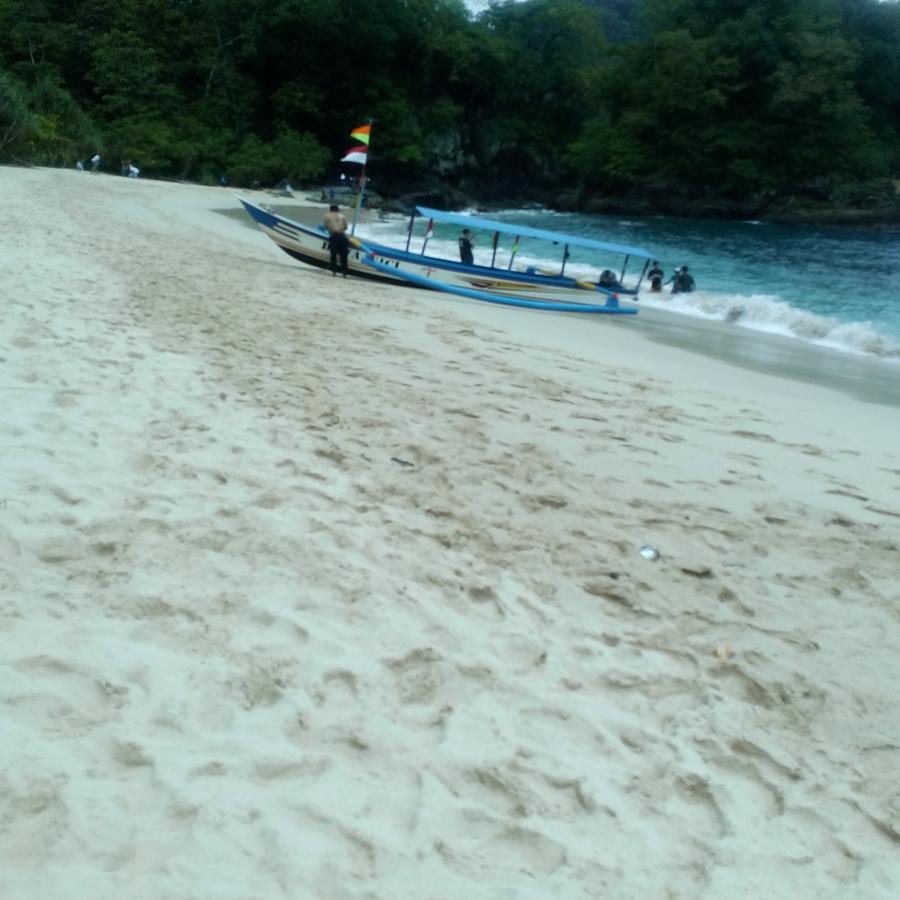 בניוואנגי Thalia Homestay & Ijen Bromo Tour מראה חיצוני תמונה