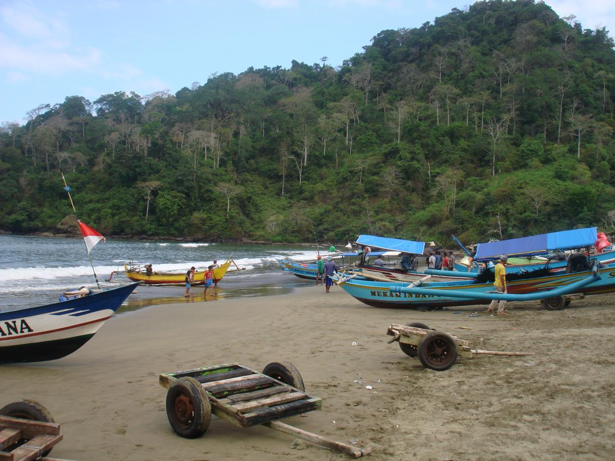 בניוואנגי Thalia Homestay & Ijen Bromo Tour מראה חיצוני תמונה