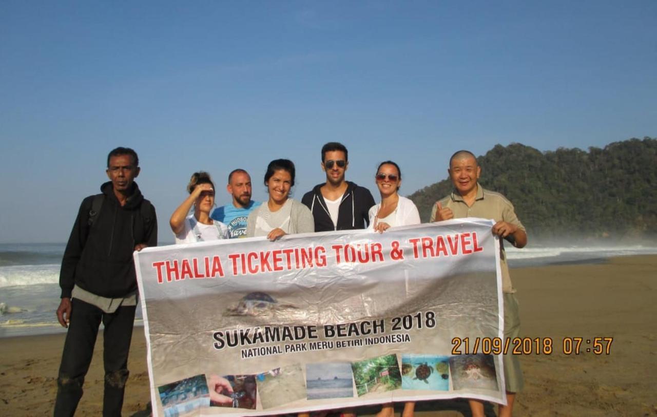 בניוואנגי Thalia Homestay & Ijen Bromo Tour מראה חיצוני תמונה